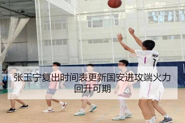 张玉宁复出时间表更新国安进攻端火力回升可期（ayx.comapp）