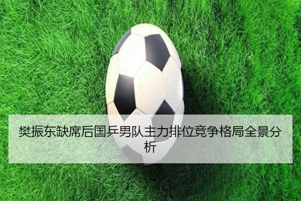 樊振东缺席后国乒男队主力排位竞争格局全景分析（ayx.comapp）